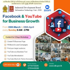 Facebook Marketing and YouTube Advertising