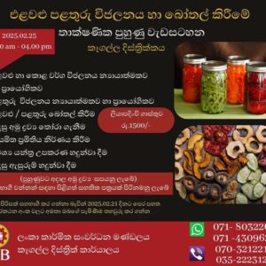 Dehydration Programme