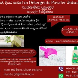 Soap, Detergent Liquid & Liquid & Liquid Soap