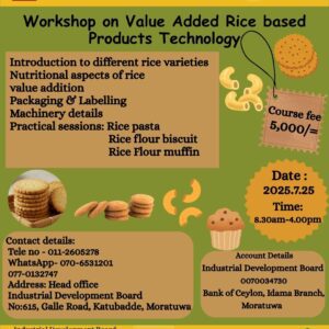 Value Added Rice Based Products Manufacturing
