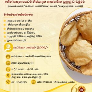 Handmade Papadam Manufacturing Technology