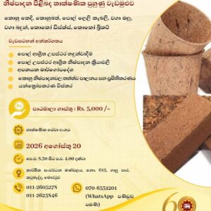 Value-added Coconut Substrate Products Technology