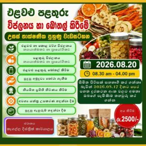 Fruits and Vegetables Dehydration