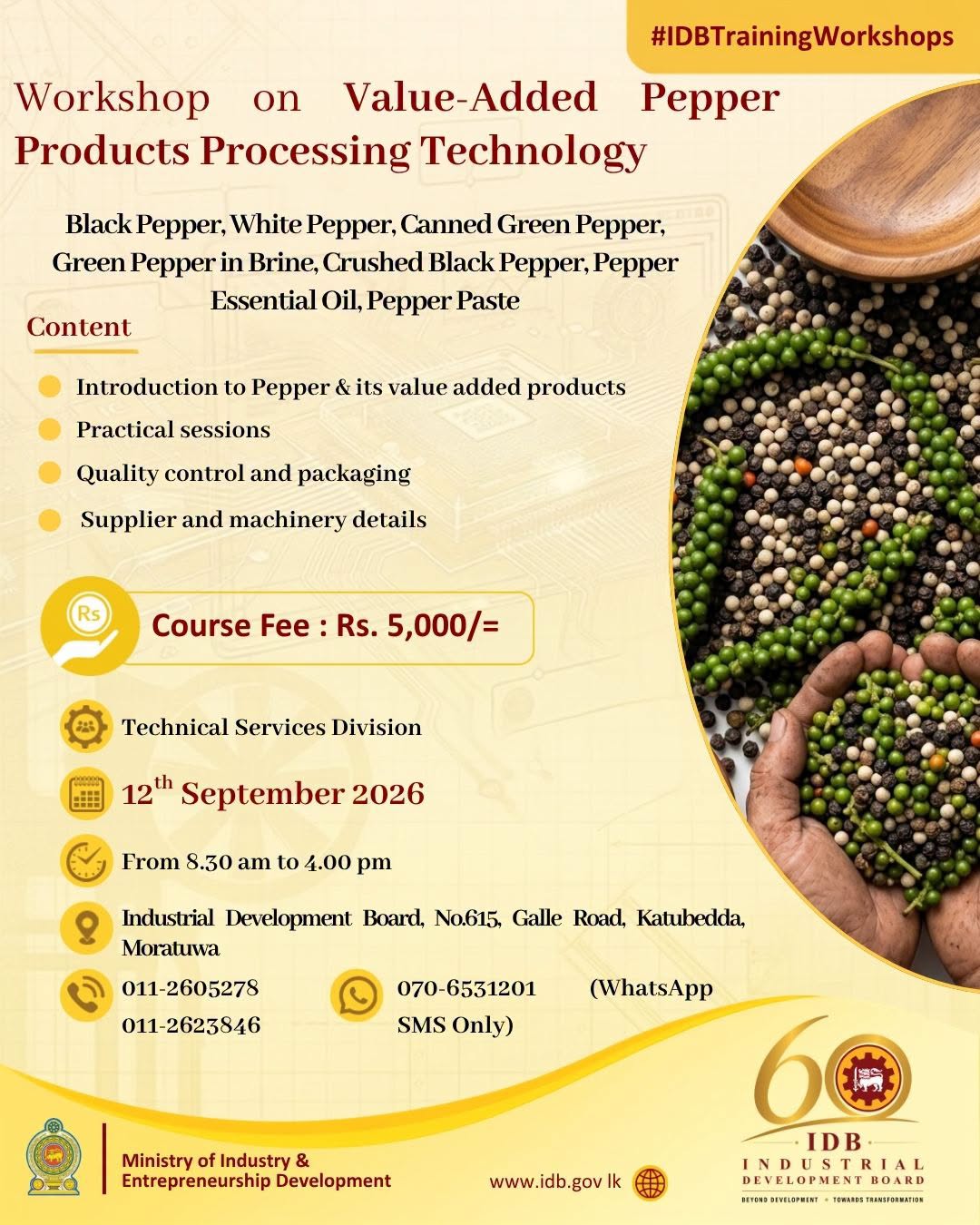 Pepper Value-added Products Processing Technology