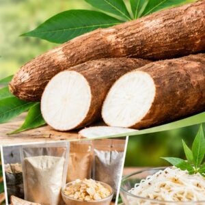 Manioc (Cassava) Value - Added Products Manufacturing